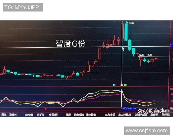 杭州足球队与上海足球队赛后技术分析与战术复盘探讨