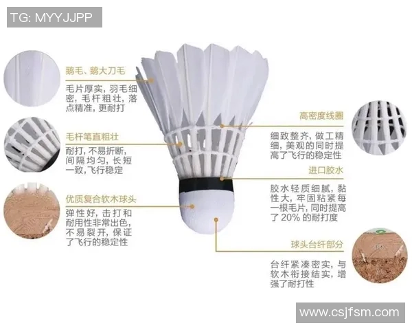 羽毛球专题：深入探讨广州羽毛球队的团队协作与默契配合之道