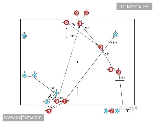 武汉羽毛球队速度分析：技术与战术的完美结合探讨