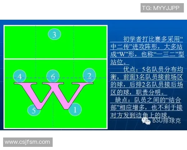 深入分析西安排球队反击战术的独特魅力与实战效果
