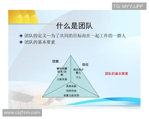 深圳乒乓球队在锦标赛中的团队协作表现分析与总结